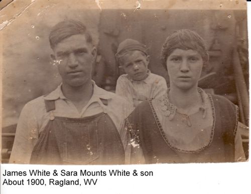 500px-White-33831.jpg