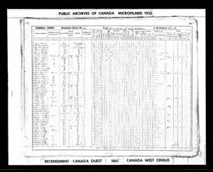 1861 Census: Robert Grogan & Jane McIntosh & Family