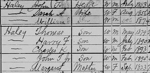 John T Haley household, 1900 US census