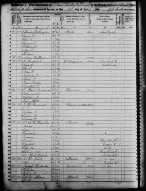 1850 census St. Lukes Parish,  Beaufort, South Carolina, USA