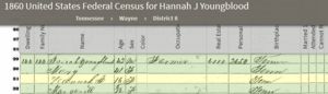 Josiah Youngblood family, 1860 US Census