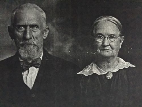 500px-Allen-23951.jpg