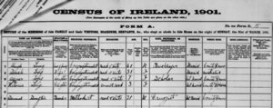 Census 1901 - 15 Jameson St Belfast - Long Family
