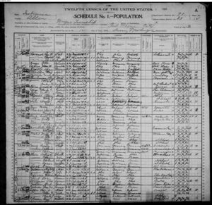 William Treffinger 1900 census