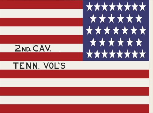 500px-Civil_War_Flags_of_Tennessee-11.png