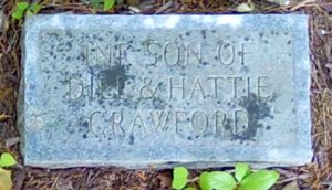 Buffalo Cemetery Images - 1 Image 1