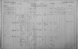 Simpson Davis and Family Census 1881
