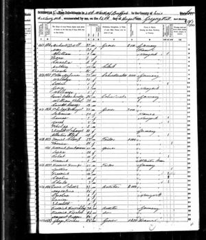 The Michael Doll Family of Buffalo,NY 1850 census