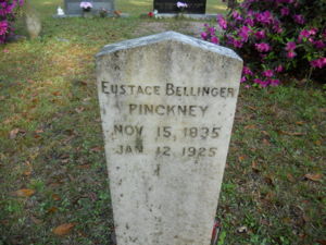 Pinckney Family Cemetery