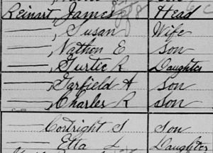 James Reinart household, 1900 US census