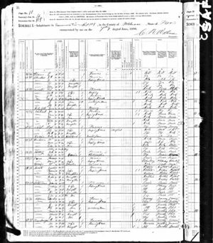 1880 US Census  Minerva Jane Northcut