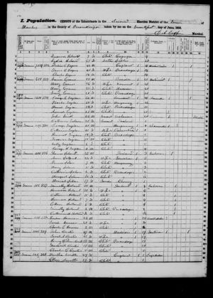 New York State Census 1855