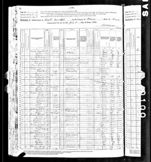 Census 1880
