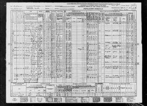 Rosa Treffinger 1940 census