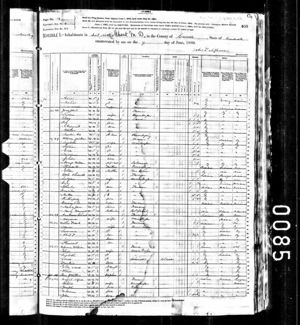 Year: 1880; Census