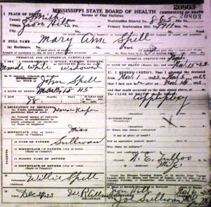 Mary Ann Spell Death Certificate