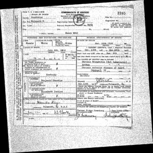 Death Certificate for Nancy Chandler Wolf
