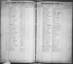 George Brubaker's Birth Record, Line 8.