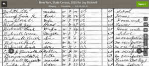 NEW YORK State Census