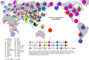 mtDNA Haplogroups of the World