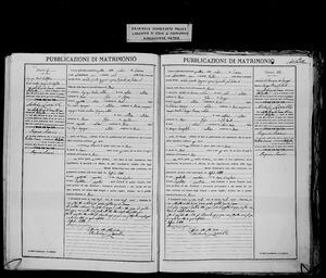 1884 Marriage Certificate Marie Giuseppe and Michele Di Domenico