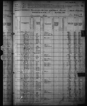 US Census 1880