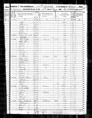George Connolly and Peggy Connolly:1850 Census
