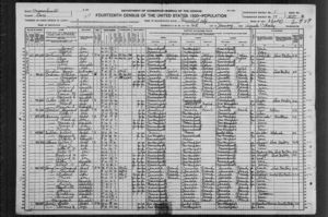 1920 Census Data