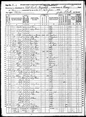 Nancy King - 1870 US Census, Line 29.