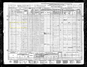 1940 US Federal Census Report