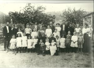 BOYD-Neal family 1913 Madison County, Arkansas