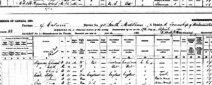 Hyman 1891 Census