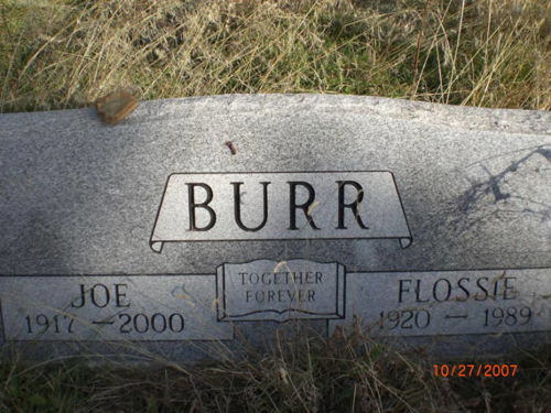 500px-Burr-2751.jpg