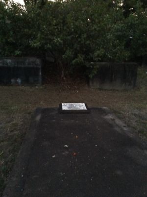 Gravestone of William Theophilus Watson