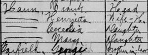 Frank Haun household, 1930 US census