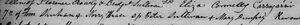 1851 John Sheehan baptism