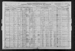 1920 Census, Crete, Will, Illinois