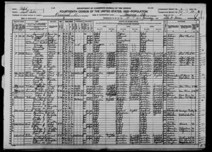 Fourteenth Census of the United States, 1920