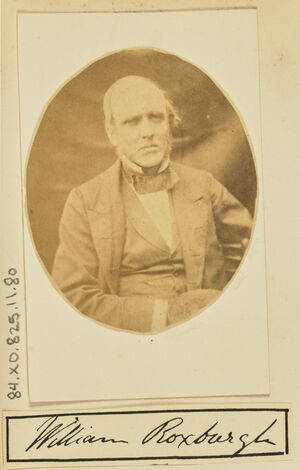 Portrait of William Roxburgh. He rests one hand in his lap and the opposite arm is draped over the back of his chair