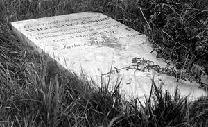 Headstone of grave of William Balcombe in Devonshire Street Cemetery