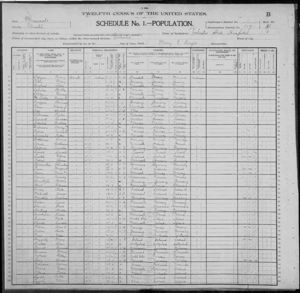 1900 Minnesota census, Rochester State Hospital