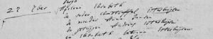 Apolona Esterhuijsen Image 1
