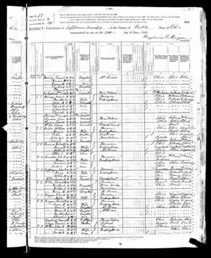 John Treffinger 1880 census