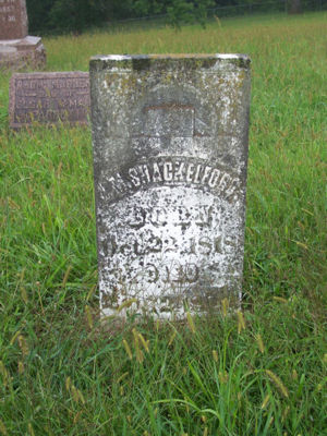 James Shackelford Image 1