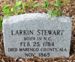 Larkin Stewart