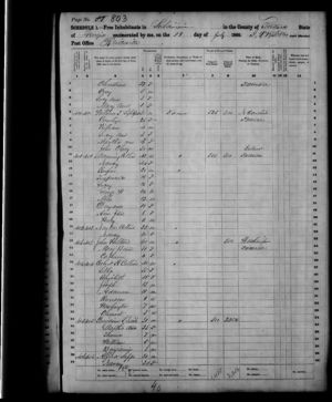 1860 Census, Manning Collins and family.