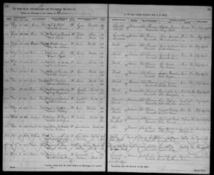 Michigan_Marriages_1868-1925_4207584_574; digital images, Family Search