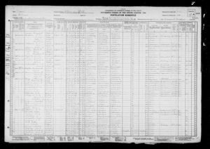 1930 Census Texas