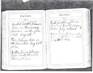 Birth entries in Gustaf Johnson's family bible