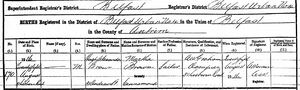 Birth Registration for Hugh Alexander Brown